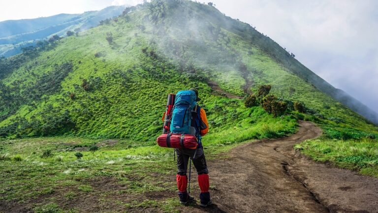 Exploring the Great Outdoors: Backpacking Trails You Can’t Miss