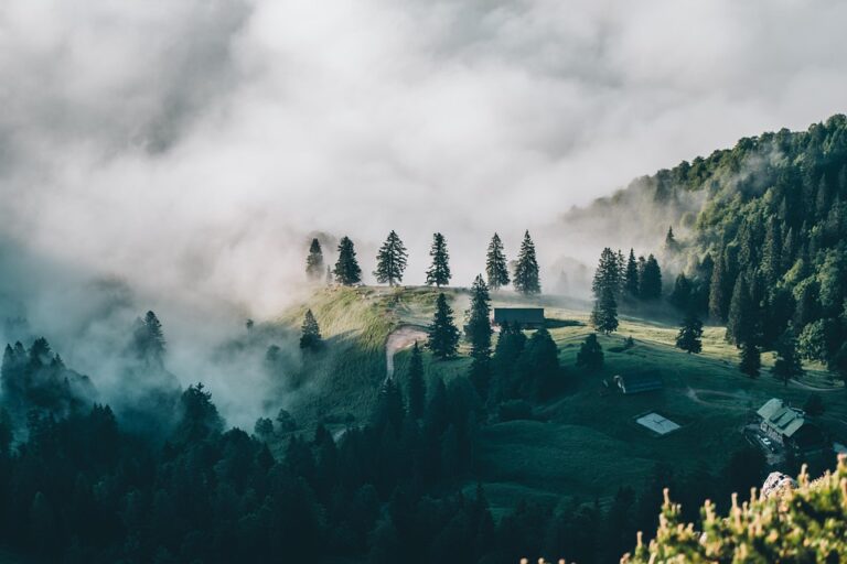 2024 Travel Trends: How the Pandemic Reshaped Our Itineraries