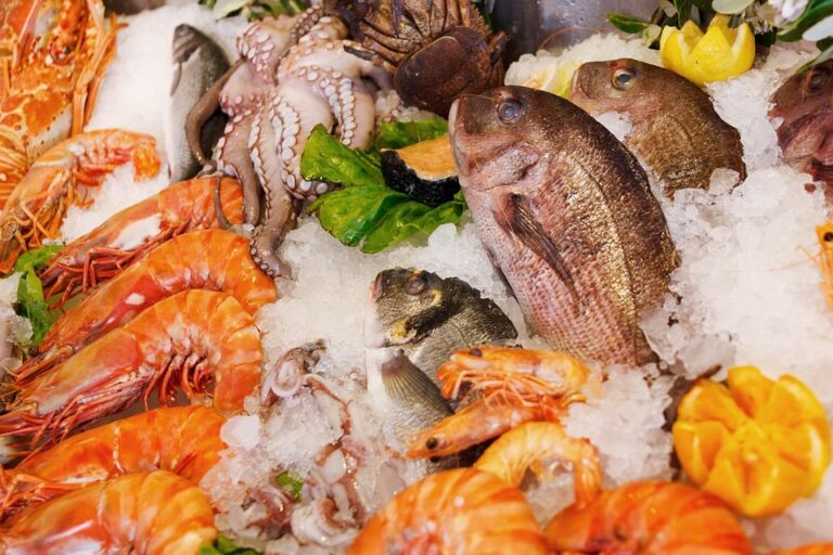 Navigating the Future of Sustainable Seafood: Choices for a Healthier Ocean and Planet