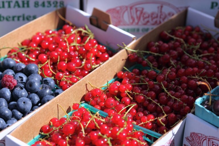 From Field to Fork: The Rise of the Farm-to-Table Movement and Its Impact on Local Economies