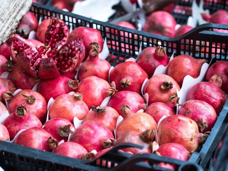 From Farm to Table: The Art and Impact of Utilizing Local Ingredients in Cuisine