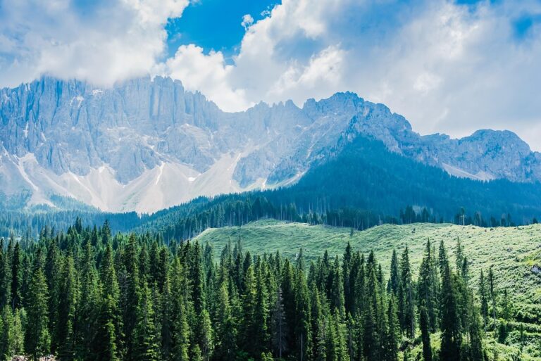 The Economic Impact of Ecotourism: Revenue Generation for Conservation Efforts