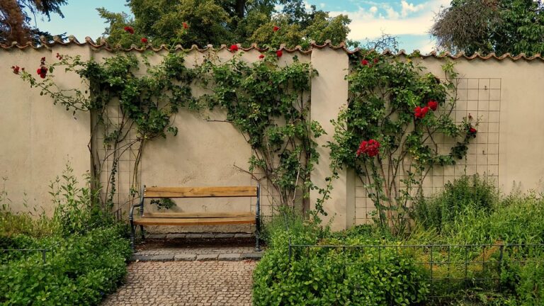 Outdoor Escapes: Weekend Itineraries for Nature Enthusiasts