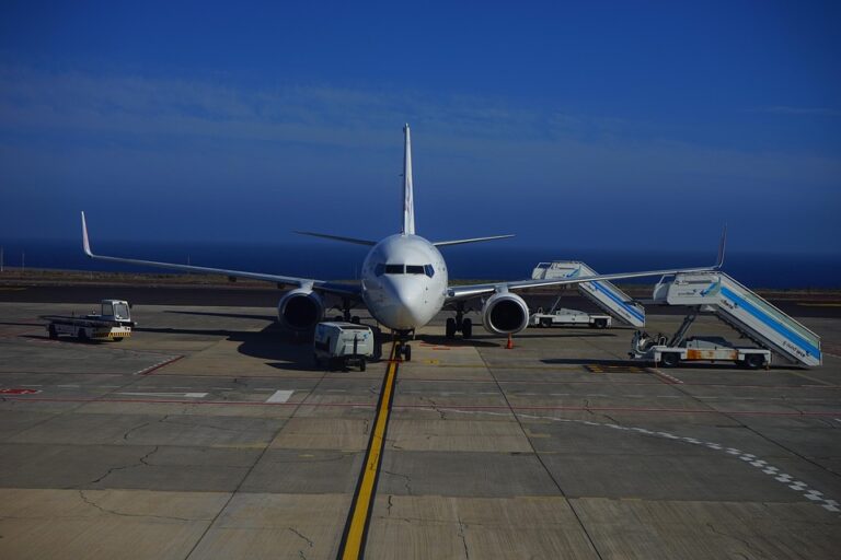 Traveling with Pets: How Airlines Are Making It Easier for Animal Lovers