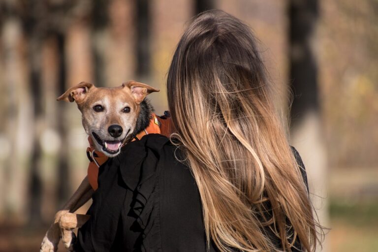The Cute Chronicles: Funny Moments from Celebrity Pet Owners