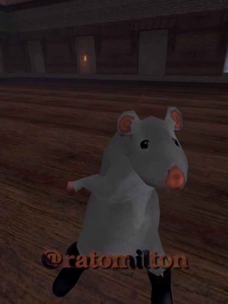 @ratomilton vibing!! . #ratomilton #musicas #milton #rat #rato #dança #ratdance …