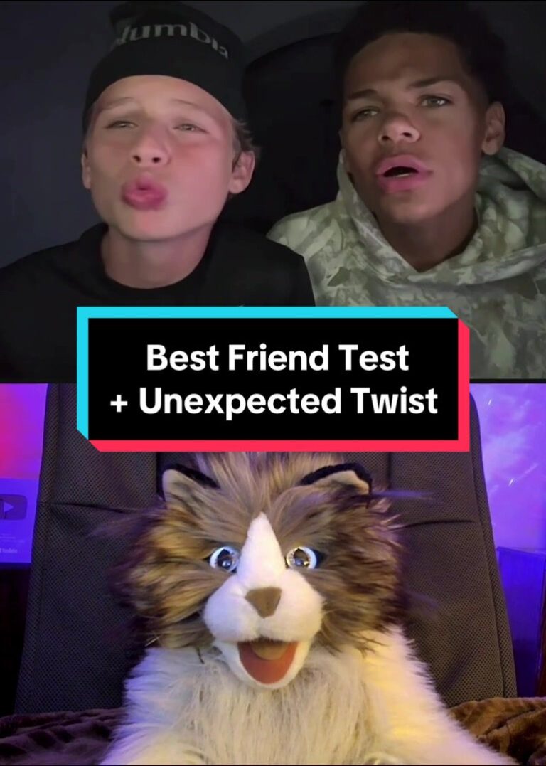 @peterprankster Comedy Cat tests a friendship with some basic friend questions +…