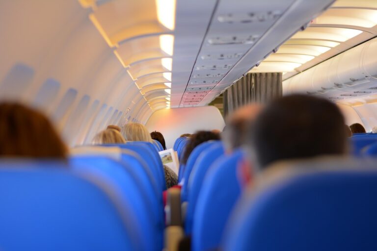 Carbon Offsetting Initiatives: How Airlines Are Combatting Climate Change
