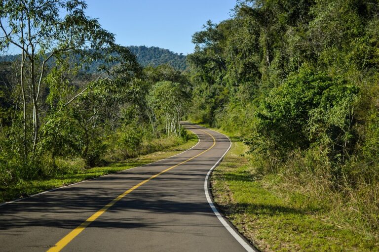 The Invisible Danger: Addressing Mental Health Issues in Road Safety