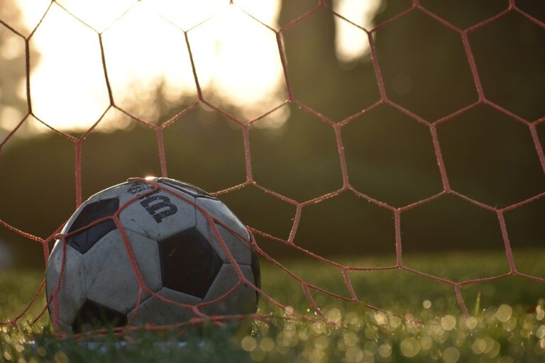 From Athletes to Entrepreneurs: The Diverse Income Streams of Celebrity Net Worth